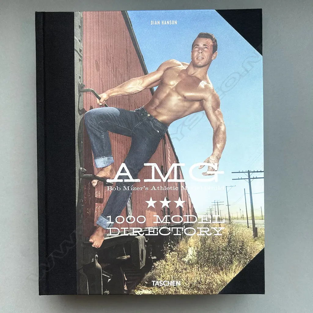 DIAN HANSON: AMG BOB MIZER'S ATHLETIC MODEL GUILD Image 1++